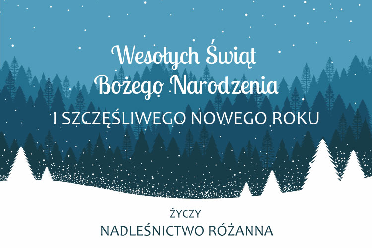 Życzenia z okazji Świąt Bożego Narodzenia