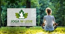Joga w lesie